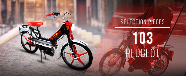 Sélection pièces peugeot 103 bloc hp