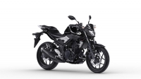 Yamaha MT-03 321